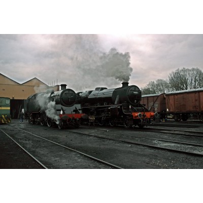 Trials Update 23rd January 2019